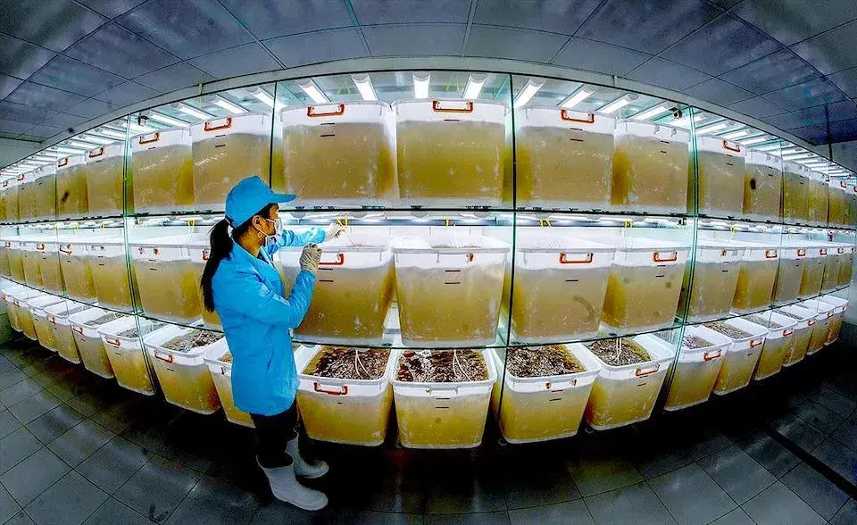 Xóa bỏ tư duy "đợi bệnh mới chữa" trong quản trị chuỗi giá trị thủy sản