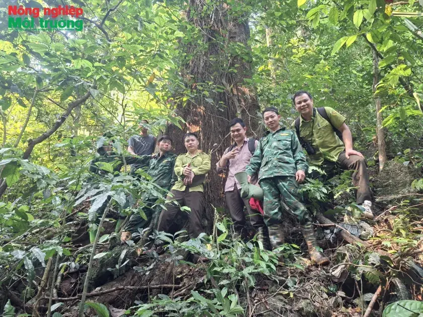 Bài 5: “Rừng là vàng” giữa đại ngàn Ngọc Sơn – Ngổ Luông