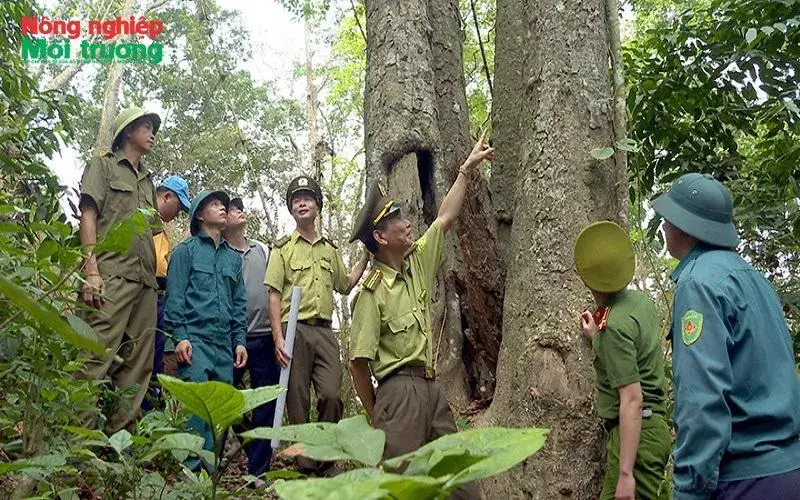 Bài 52: Tuyên Quang bảo vệ và phát triển rừng bền vững