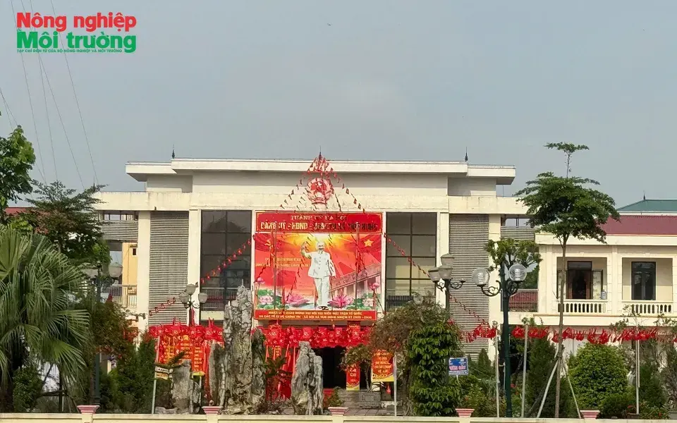 Xã Tam Hưng: Nâng chất nông thôn mới trong quá trình đô thị hóa