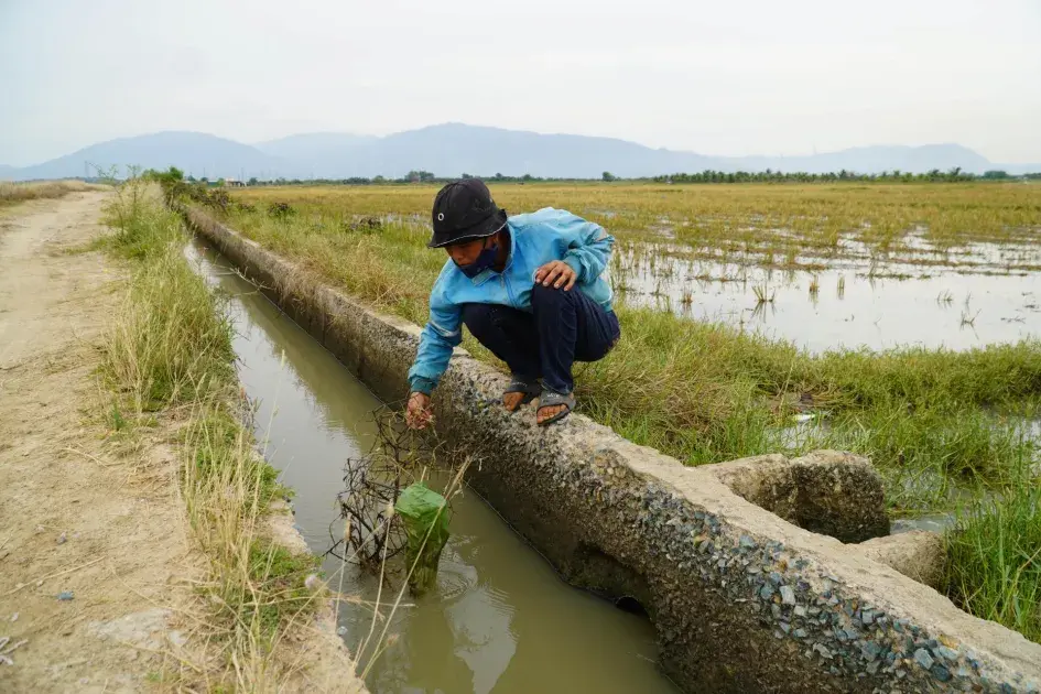 Bài 2: Ruộng sát hồ vẫn chờ nước - Bài toán khi “chắc nước mới sản xuất” trở thành nguyên tắc sống còn ở Khánh Hòa