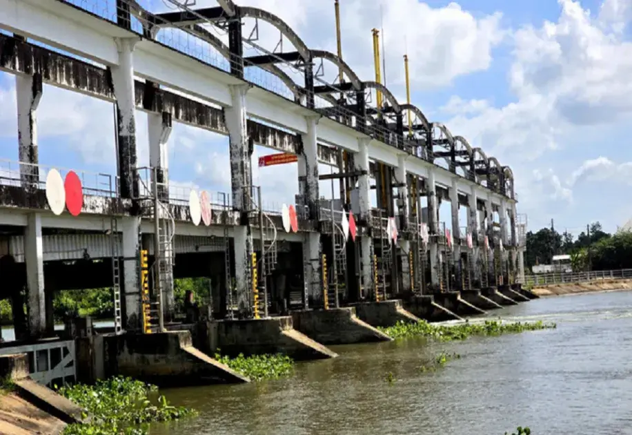 Phục hồi rừng ngập mặn ĐBSCL: Từ nhận diện vòng lặp suy thoái đến thiết kế bảo vệ bờ theo cân bằng bùn cát