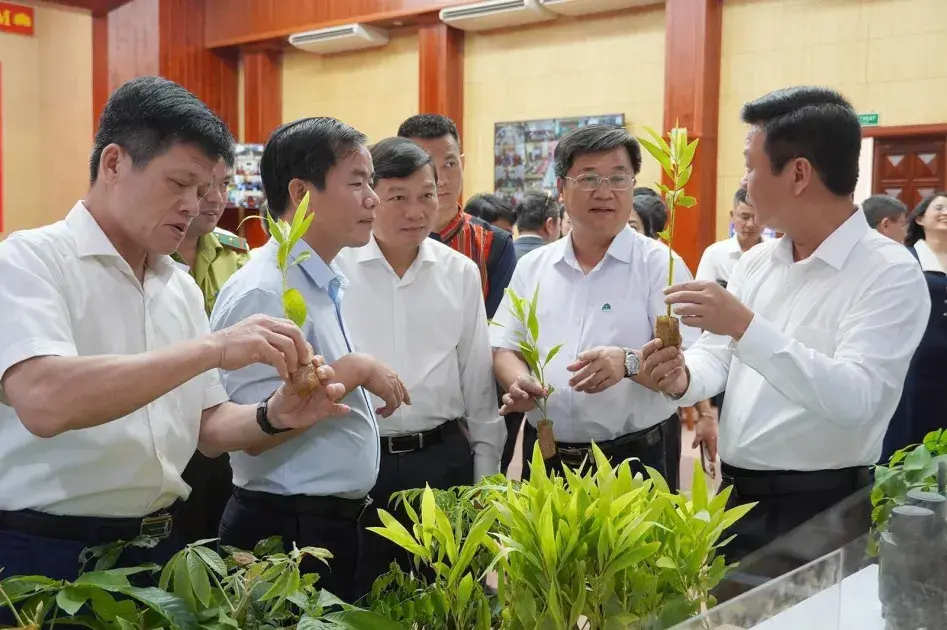 Quảng Trị triển khai đồng bộ các giải pháp phát triển nông nghiệp xanh