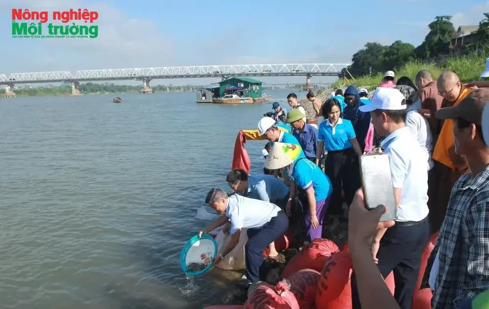 Cục Thủy sản và Kiểm ngư: Thả cá phóng sinh, tái tạo nguồn lợi thủy sản