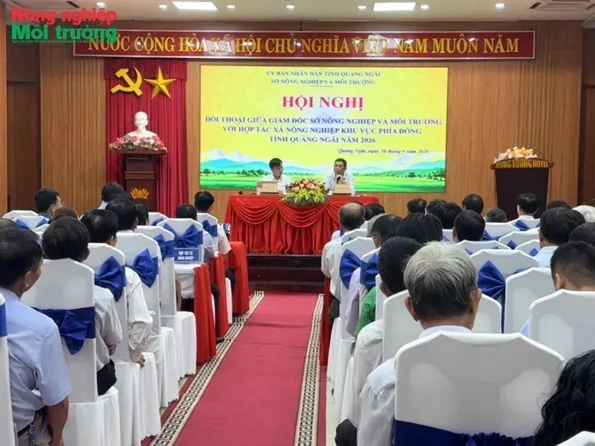 Quảng Ngãi đối thoại, tháo gỡ khó khăn cho HTX nông nghiệp