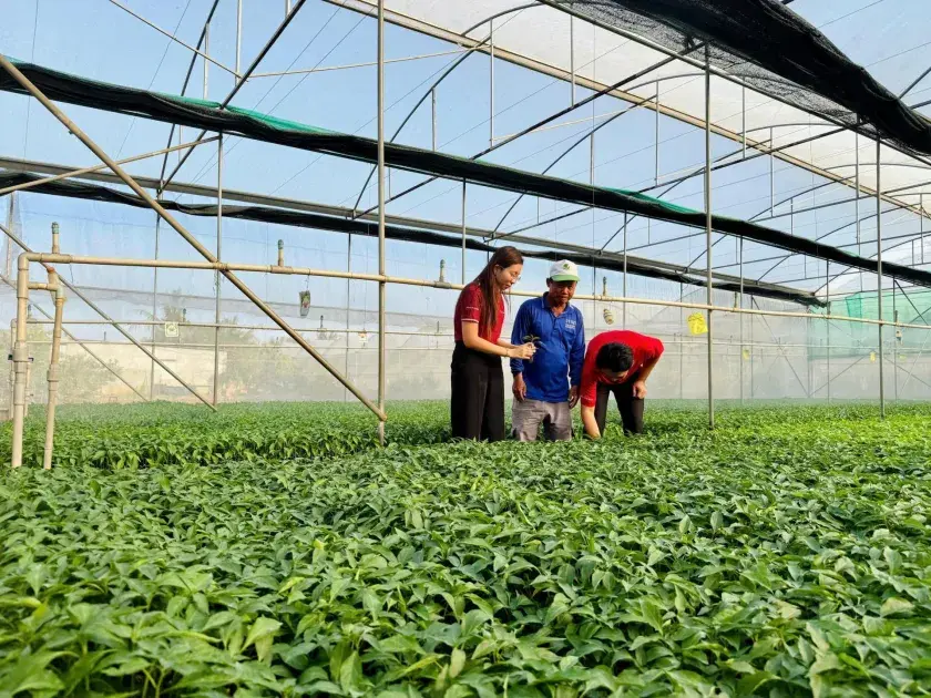 “Tỷ phú cây giống” vùng biên và hành trình bứt phá nhờ dám nghĩ, dám làm